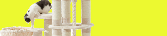 SC_600_37 SC_600_37